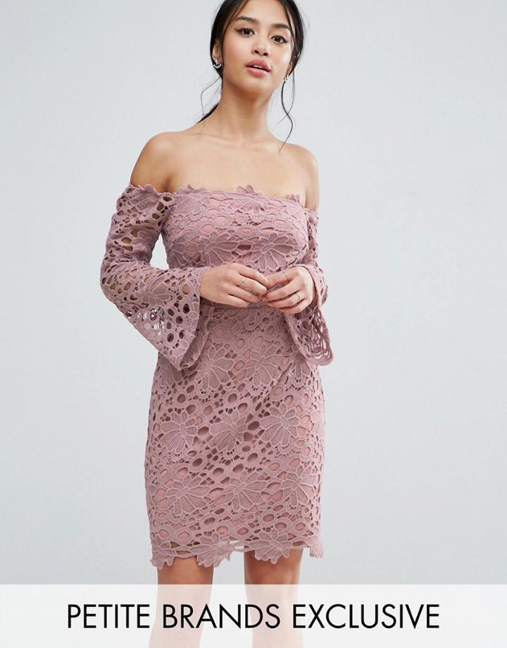 True Decadence Petite Bardot Cutwork Lace Mini Dress - Pink