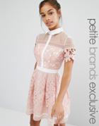 Chi Chi London Petite Premium Lace Mini Skater Dress With Contrast Collar - Pink