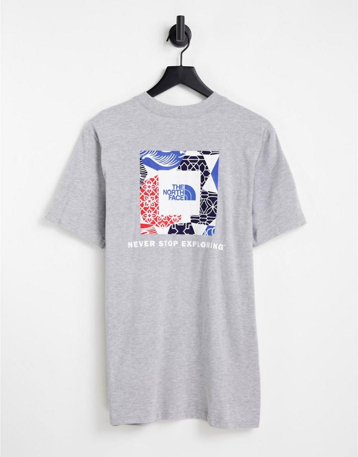 The North Face Ic Geo Nse Box Back Print T-shirt In Gray