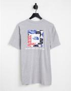 The North Face Ic Geo Nse Box Back Print T-shirt In Gray