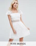 Miss Selfridge Petite Lace Skater Dress - White