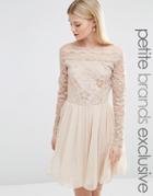 John Zack Petite Lace Top Bardot Mini Dress With Tulle Skirt - Mink