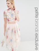 Maya Petite Short Sleeve High Neck Crop Top In All Over Rose Embellishment - Nude