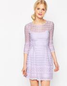 Asos Mesh Skater Dress With Embroidered Border - Lilac