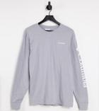 Columbia North Cascades Long Sleeve T-shirt In Gray Exclusive To Asos-grey