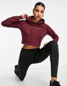 Pink Soda Sport Ruby Cropped Hoodie In Burgundy-black