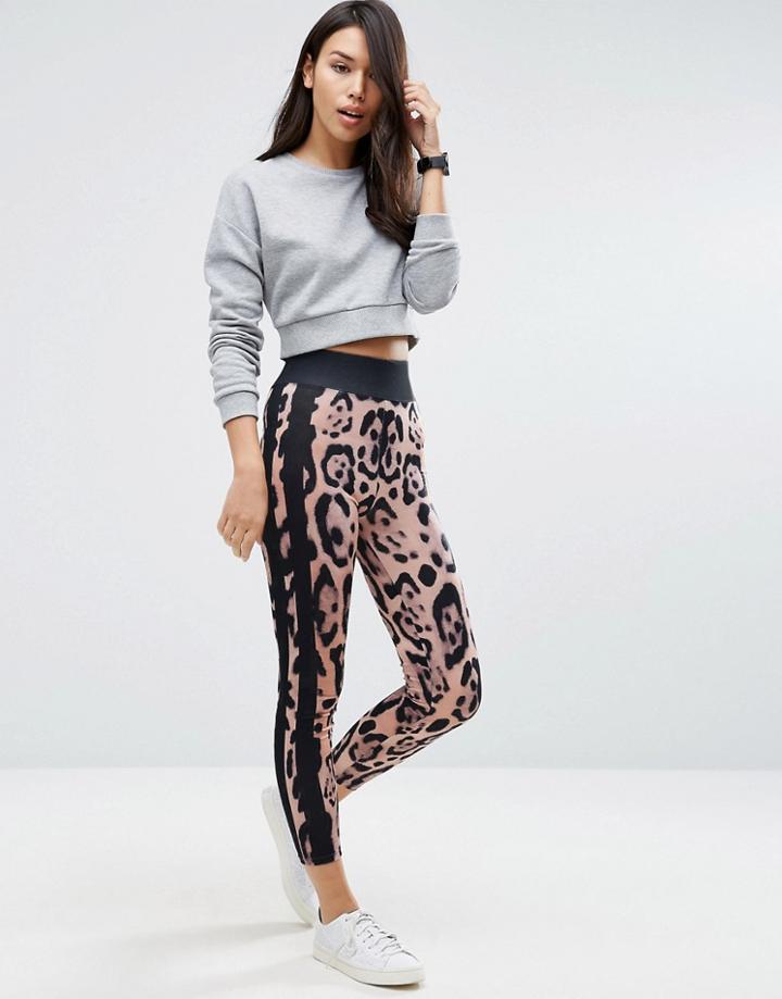 Asos Leopard Print Leggings With Side Stripe - Multi