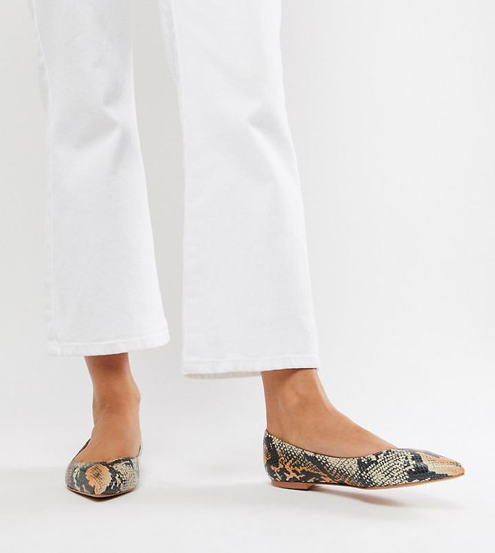 Asos Design Latch Pointed Ballet Flats In Multi Snake Print