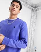 Polo Ralph Lauren Player Logo Sweatshirt In Blue