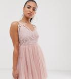 Asos Design Petite Premium Lace Top Tulle Cami Mini Dress - Pink