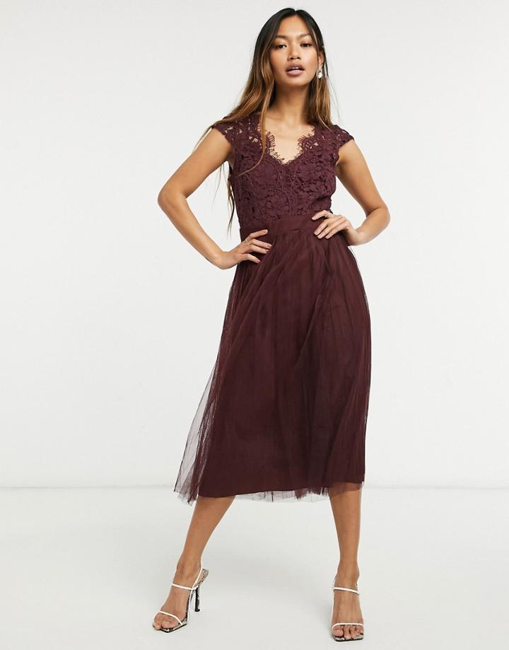 Little Mistress Lace Cap Sleeve Skater Midi Dress In Burgundy-red
