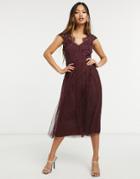 Little Mistress Lace Cap Sleeve Skater Midi Dress In Burgundy-red