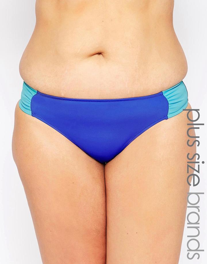 Marie Meili Curves Avalon Bikini Bottoms - Multi