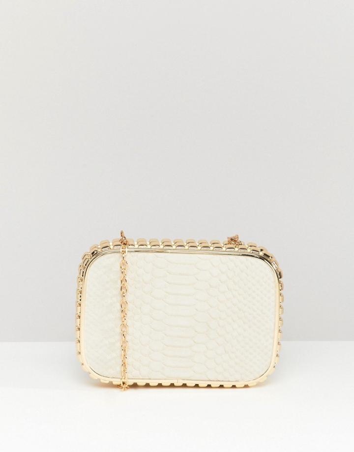 Claudia Canova Snake Embossed Hardcase Box Clutch With Studded Metal Frame And Detachable Chain. - Multi