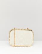 Claudia Canova Snake Embossed Hardcase Box Clutch With Studded Metal Frame And Detachable Chain. - Multi
