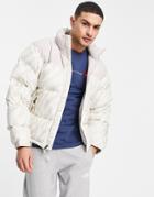 The North Face 1996 Retro Nuptse Tiger Print Jacket In Gray