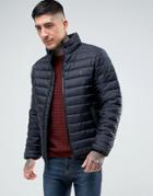 Farah Bosworth Lightweight Padded Jacket In Black - Black