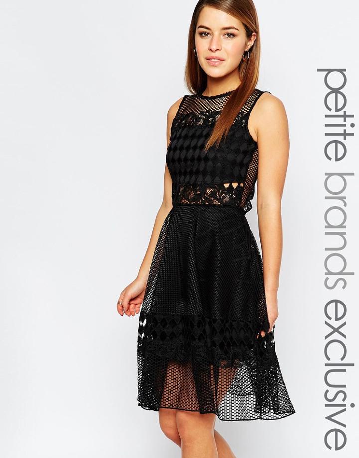 John Zack Petite Cut Work Scallop Lace Skater Dress - Black