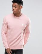 Devote Dove Print Sweater - Pink