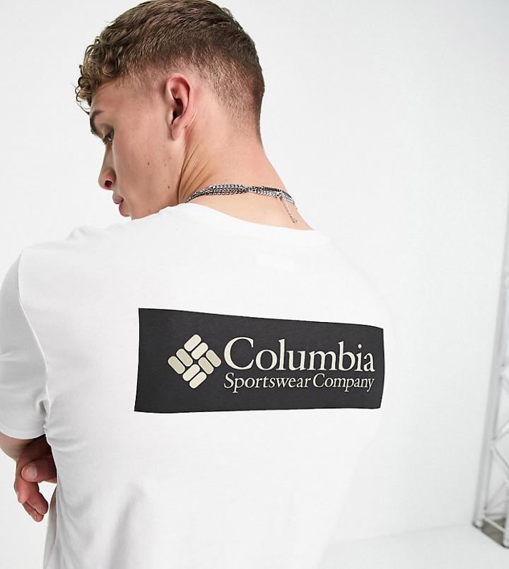 Columbia North Cascades T-shirt In White/black Exclusive To Asos