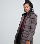 Esprit Longline Padded Jacket With Hood In Taupe