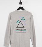 The North Face Triangle T-shirt In Gray Exclusive At Asos-grey