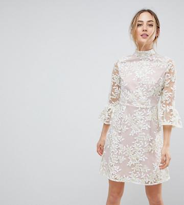 Dolly & Delicious Tall Allover Embroidered High Neck Skater Dress With Fluted Hem Detail - Cream