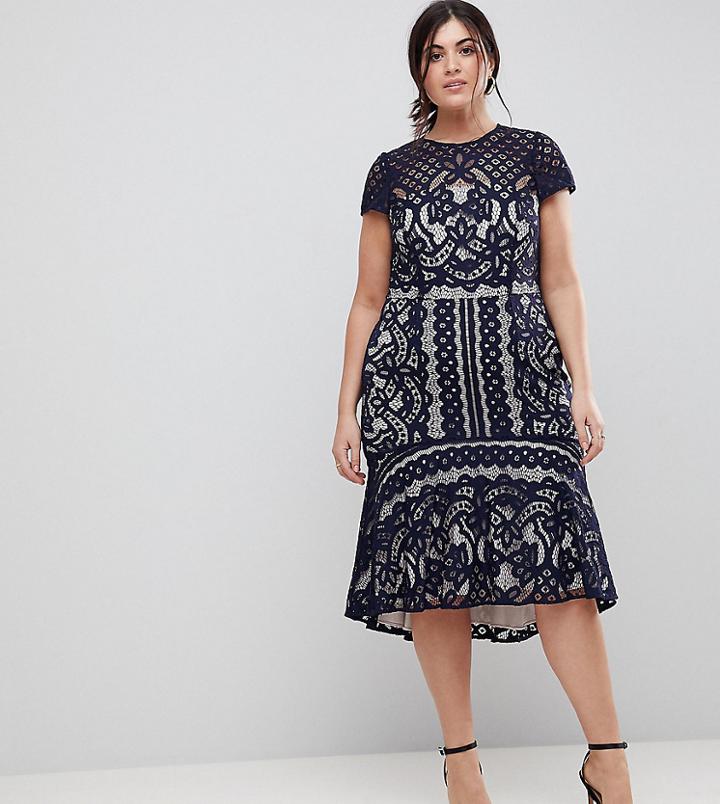 Coast Plus Dee Dee Lace Dress - Navy