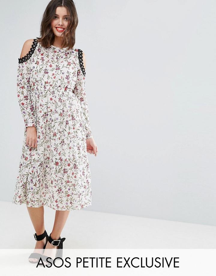 Asos Petite Exclusive Printed Lace Midi Dress With Cold Shoulder And Metal Trim - Multi