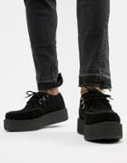 T.u.k Mondo Viva Suede Creepers - Black