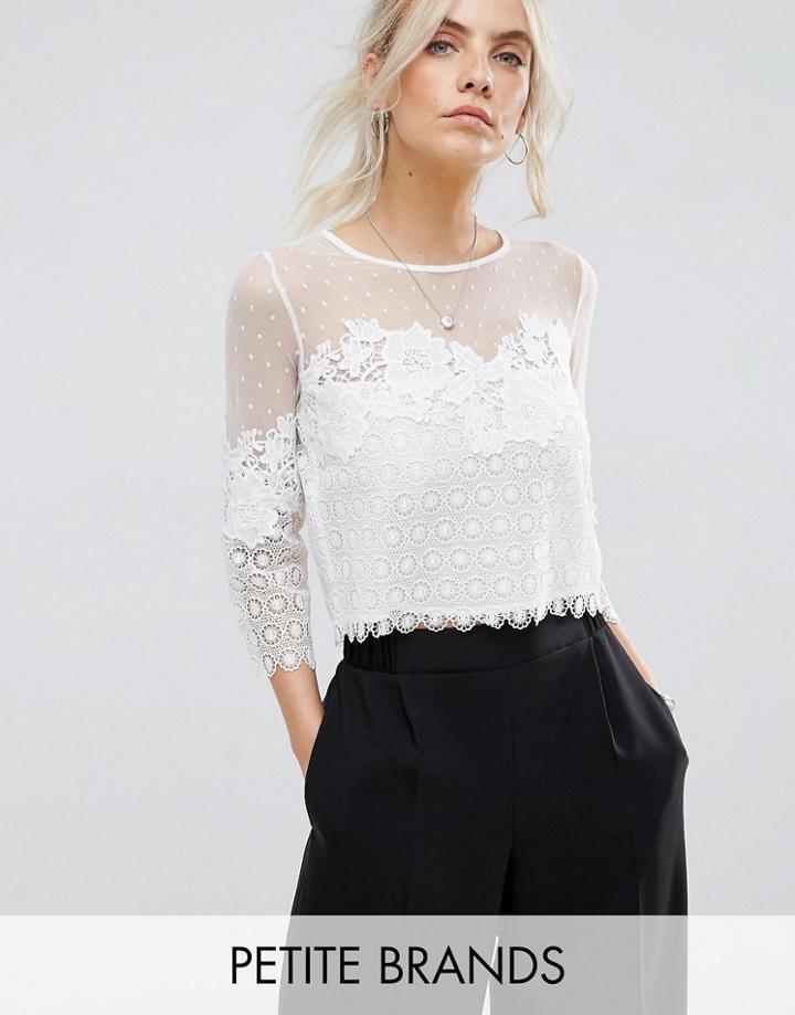 New Look Petite Dobby Mesh Lace Top - Cream