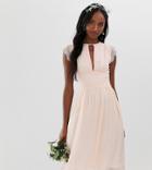 Tfnc Tall Lace Detail Midi Bridesmaid Dress - Pink