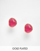 Taara Jewelry 22k Gold Plated Earrings - 39