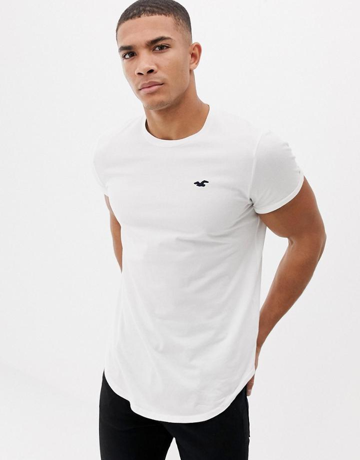 Hollister Solid Curved Hem T-shirt Seagull Logo Slim Fit In White