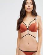 Asos Padded Push Up Moudled Plunge Bikini Top - Brown