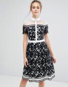 Chi Chi London Premium Lace Paneled Dress With Contrast Collar - Black