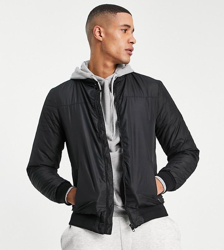 French Connection Tall Padded Bomber Jacket In Black