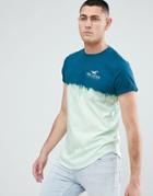 Hollister Ombre Wash Front And Back Logo Print T-shirt Curved Hem In Blue To Green - Blue