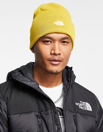 The North Face Embro Sea Beanie In Yellow