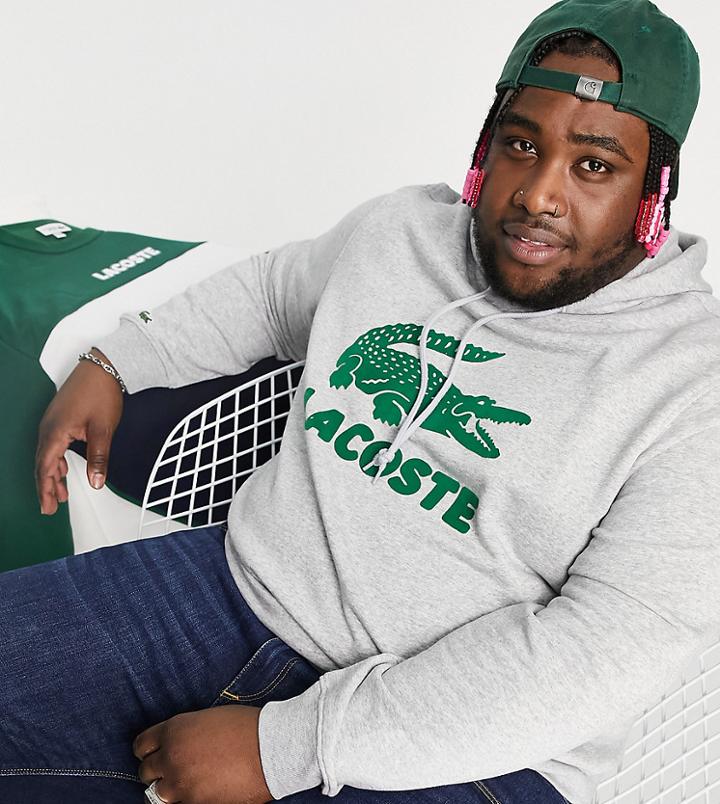 Lacoste Plus Logo Hoodie-gray
