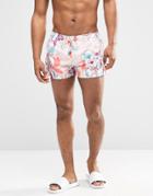 Oiler & Boiler Swim Shorts Tuckernuck Mariposa - Pink