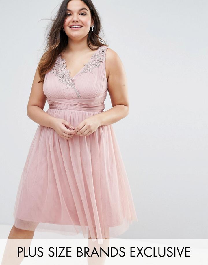 Little Mistress Plus Tulle Skater Dress With Floral Embroidery - Pink