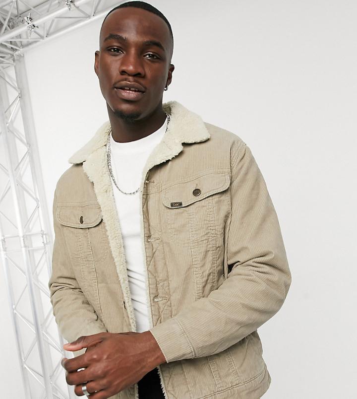 Lee Tall Sherpa Jacket In Beige-neutral