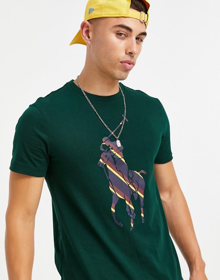 Polo Ralph Lauren College Stripe Player Front Print T-shirt In College Green