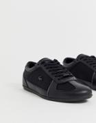 Lacoste Evara Sport Sneakers In Black