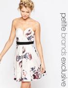 Little Mistress Petite Sweetheart Bandeau Skater In All Over Floral - Multi
