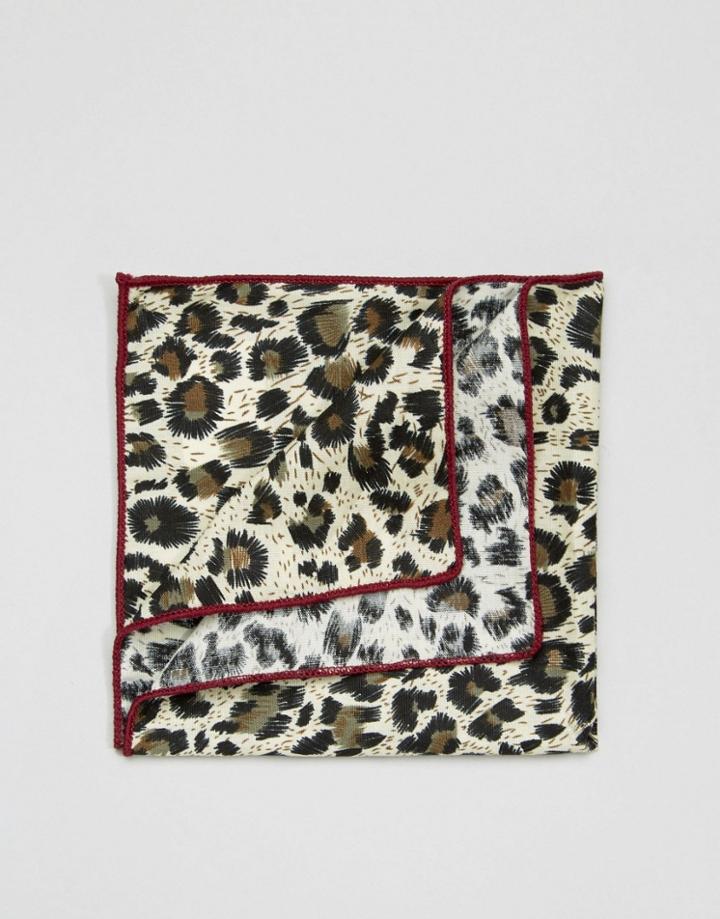 7x Pocket Square Animal Print In Box - Beige