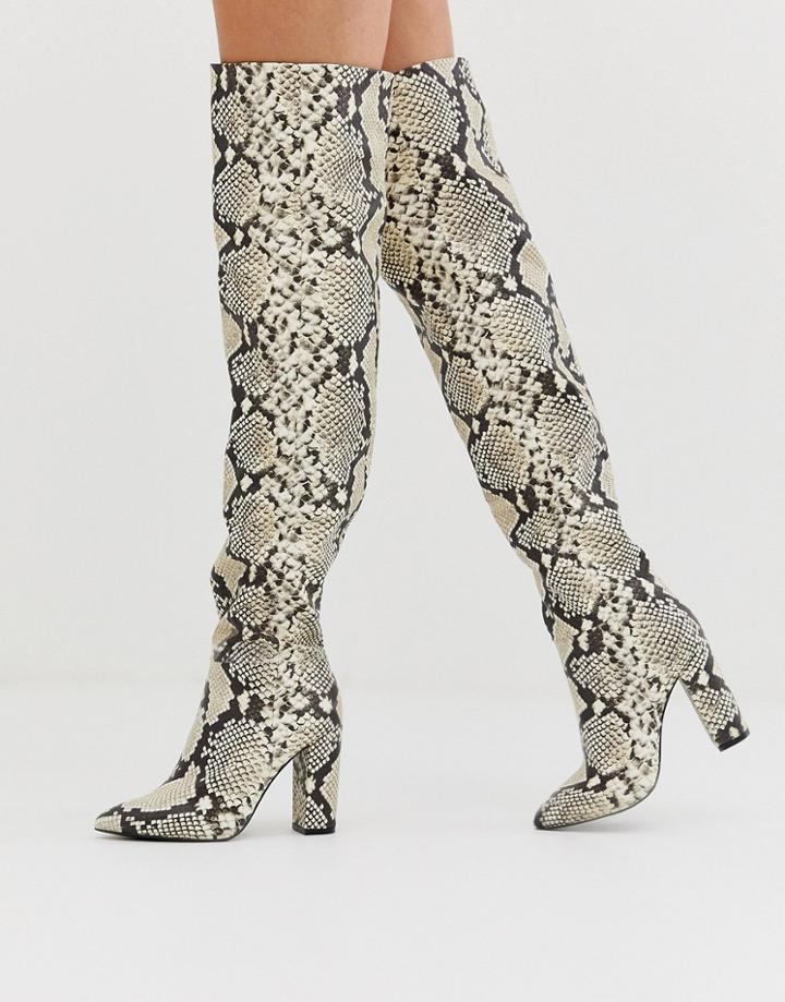 Call It Spring By Aldo Slouch Knee High Boots In Snake Print
