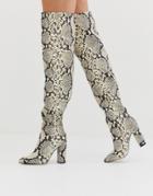 Call It Spring By Aldo Slouch Knee High Boots In Snake Print