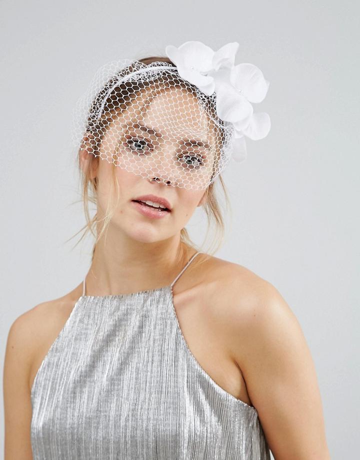 Asos Orchid And Veil Fascinator Headband - White